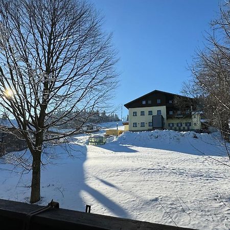 Mitterdorf Almberg X29 Apartment Митерфермиансройт Екстериор снимка